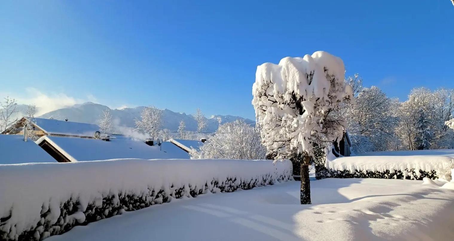 Ferienwohnung Geierstein Wackersberg Bagian luar foto